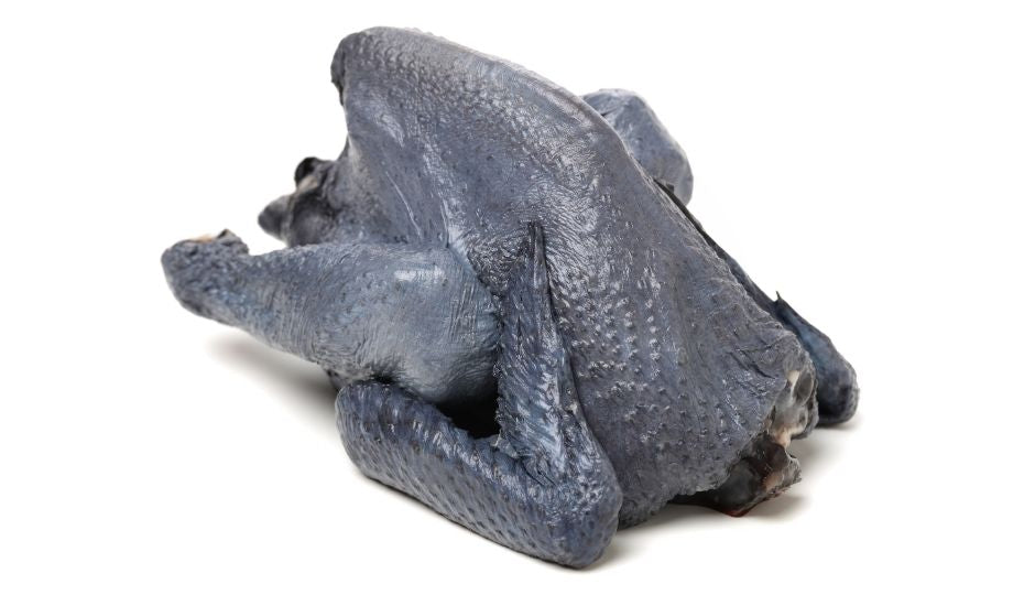 The Silkie Chicken as Table Fare: Keeping Silkies for their Meat