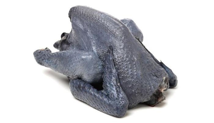 The Silkie Chicken as Table Fare: Keeping Silkies for their Meat